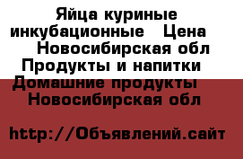 Яйца куриные инкубационные › Цена ­ 8 - Новосибирская обл. Продукты и напитки » Домашние продукты   . Новосибирская обл.